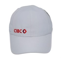 Image of Pro Style Cap